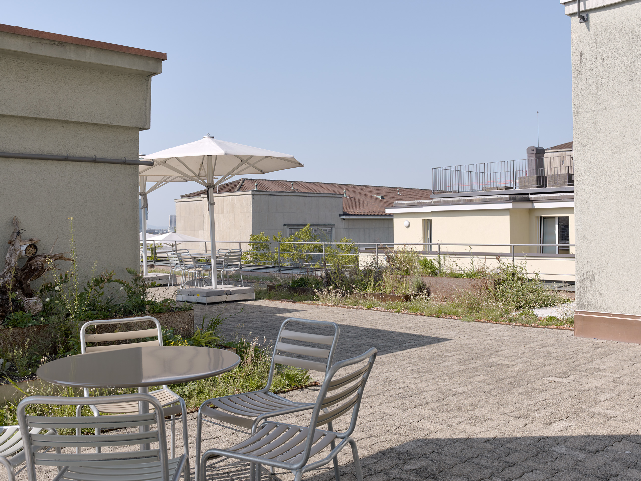 Dachterrasse Stampfenbachstrasse 12-14